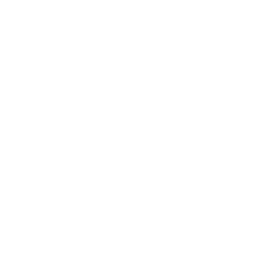 Alcon Inc. Ordinary Shares Share Price